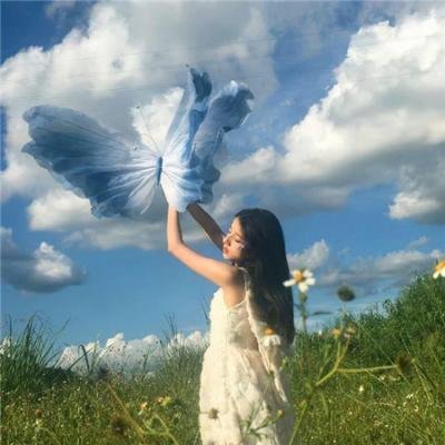 战地情莺